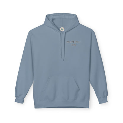Neurodivergent and proud Hoodie